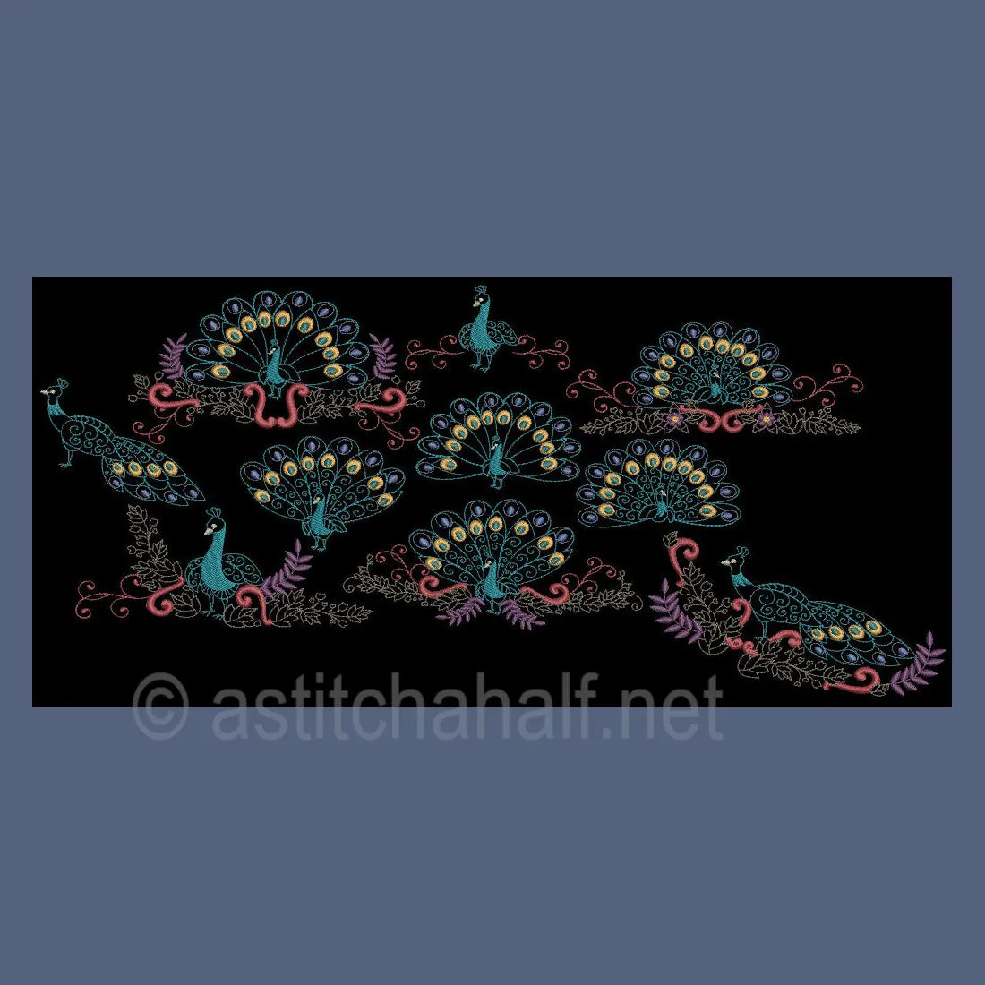 Peacock Parade 01