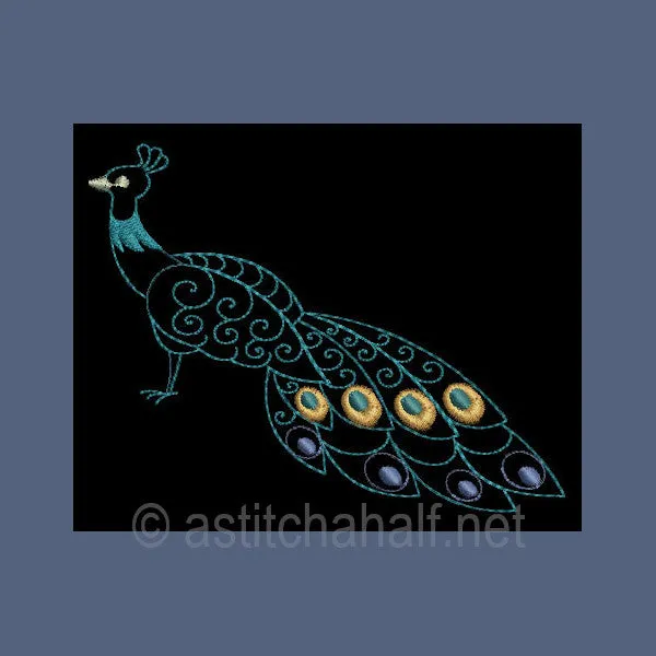 Peacock Parade 01
