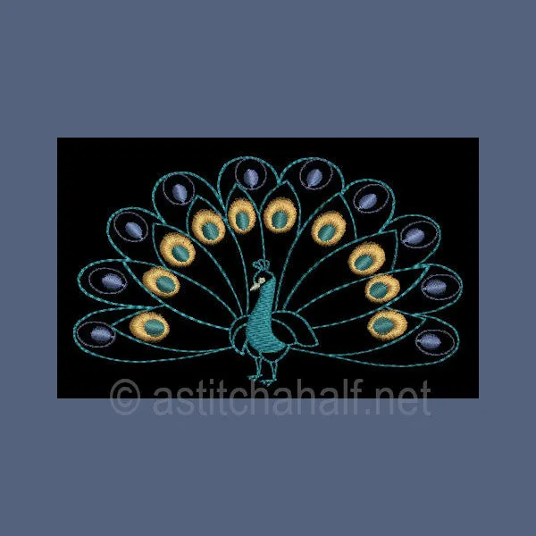 Peacock Parade 01