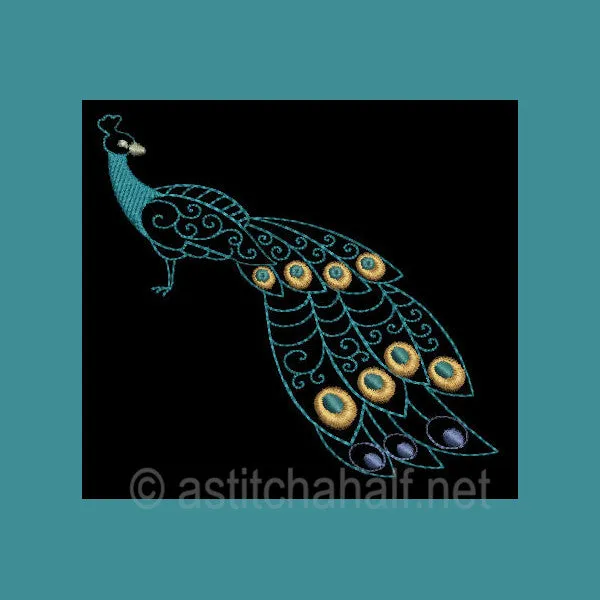 Peacock Parade 02