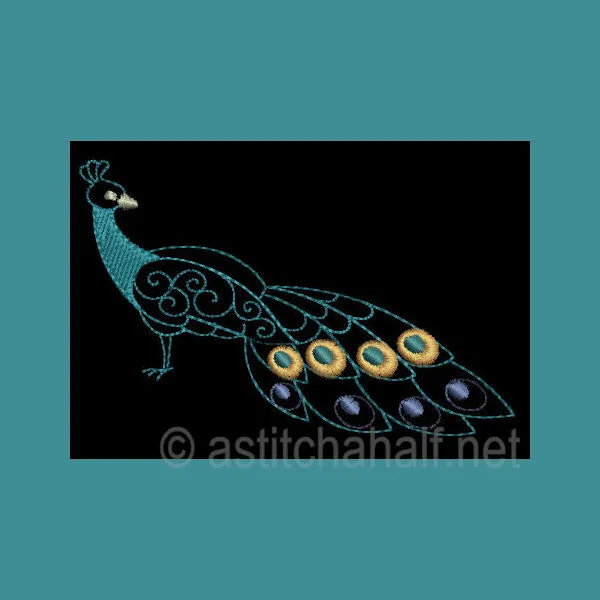 Peacock Parade 02