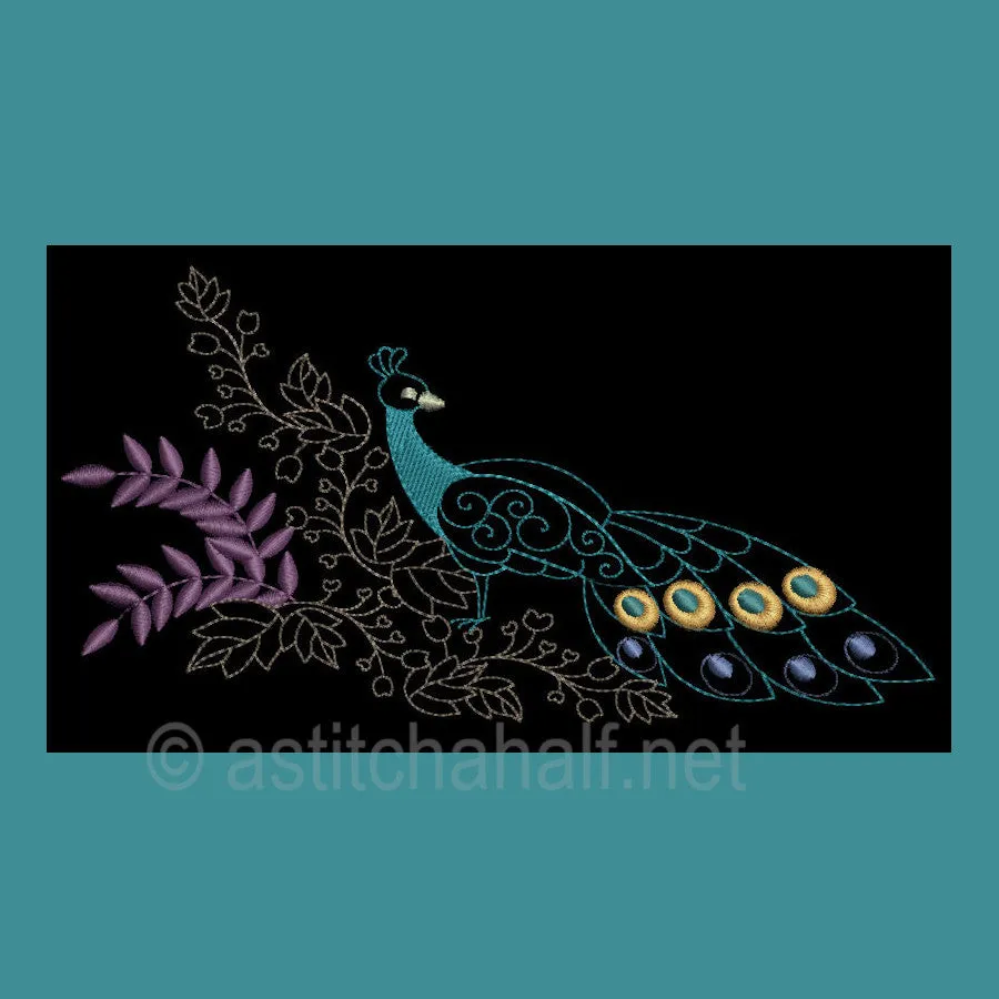 Peacock Parade 02