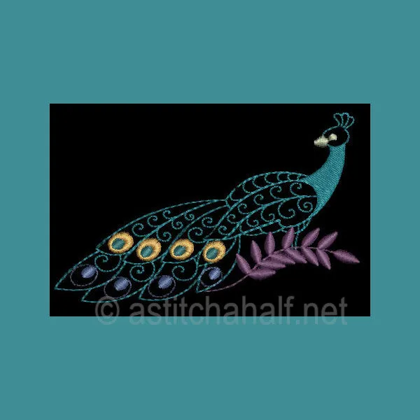 Peacock Parade 02